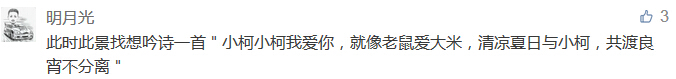 此時此景找想吟詩一首＂小柯小柯我愛你，就像老鼠愛大米，清涼夏日與小柯，共渡良宵不分離＂-科頤辦公分享